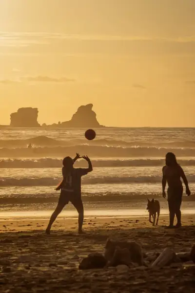 People and a dog silhouetted on the beach beneath a golden sunset