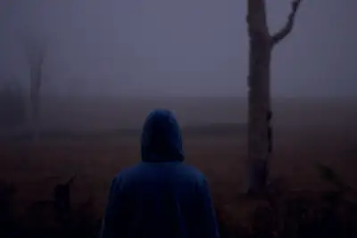 Person in a blue hooded jacket looking into a misty landscape